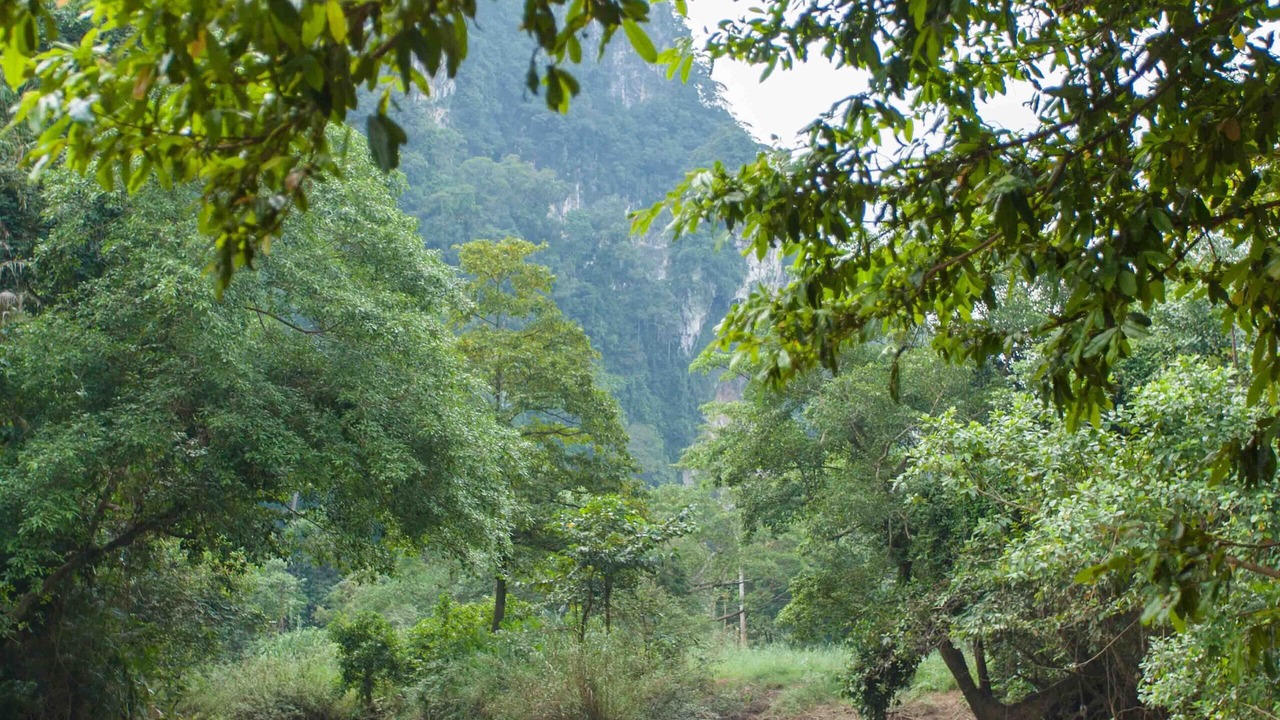 Photo of Others in Khlong Sok