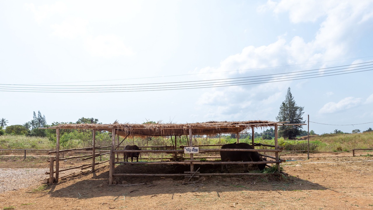 Photo of Outdoor in Wang Pong