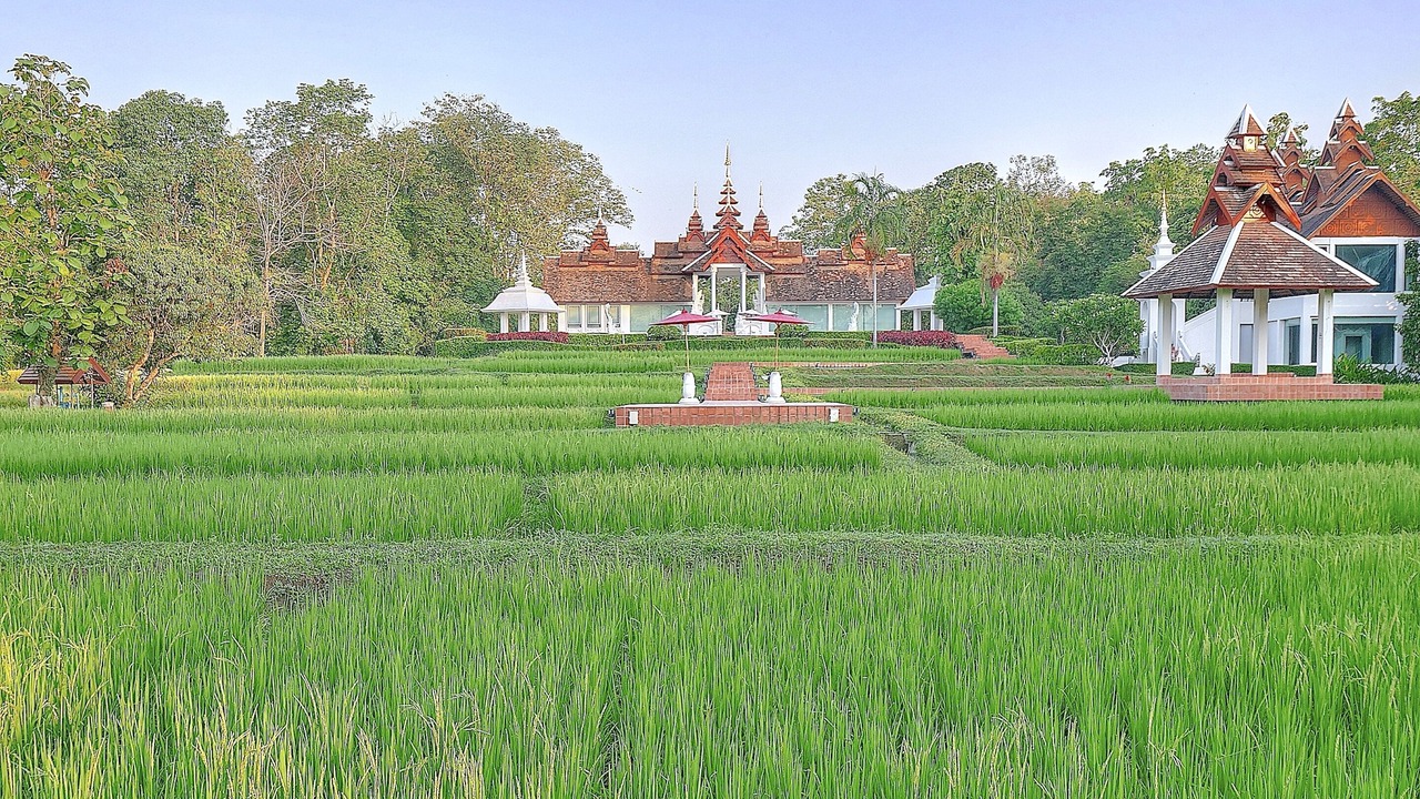 Photo of Outdoor in Mae Taeng