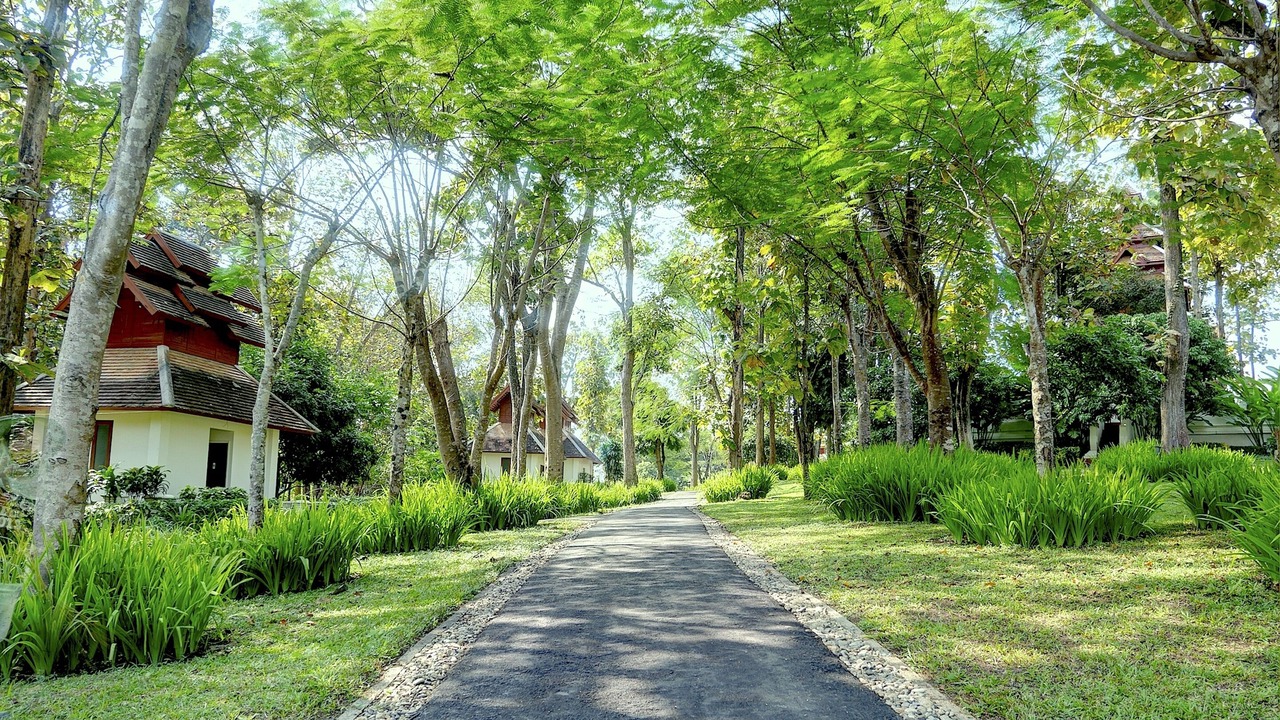 Photo of Outdoor in Mae Taeng