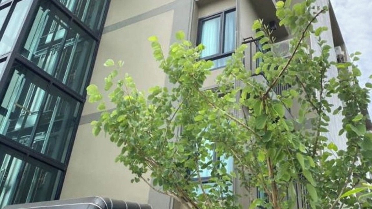 Photo of Outdoor in Bang Yi Ruea
