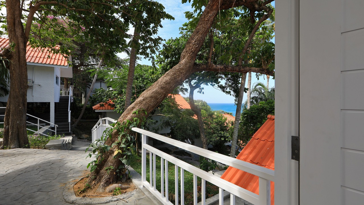 Photo of Outdoor in Kata