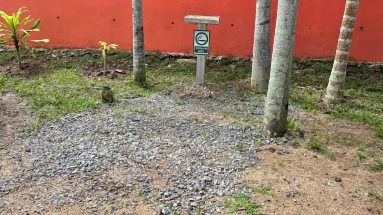 Photo of Outdoor in Mae Rim