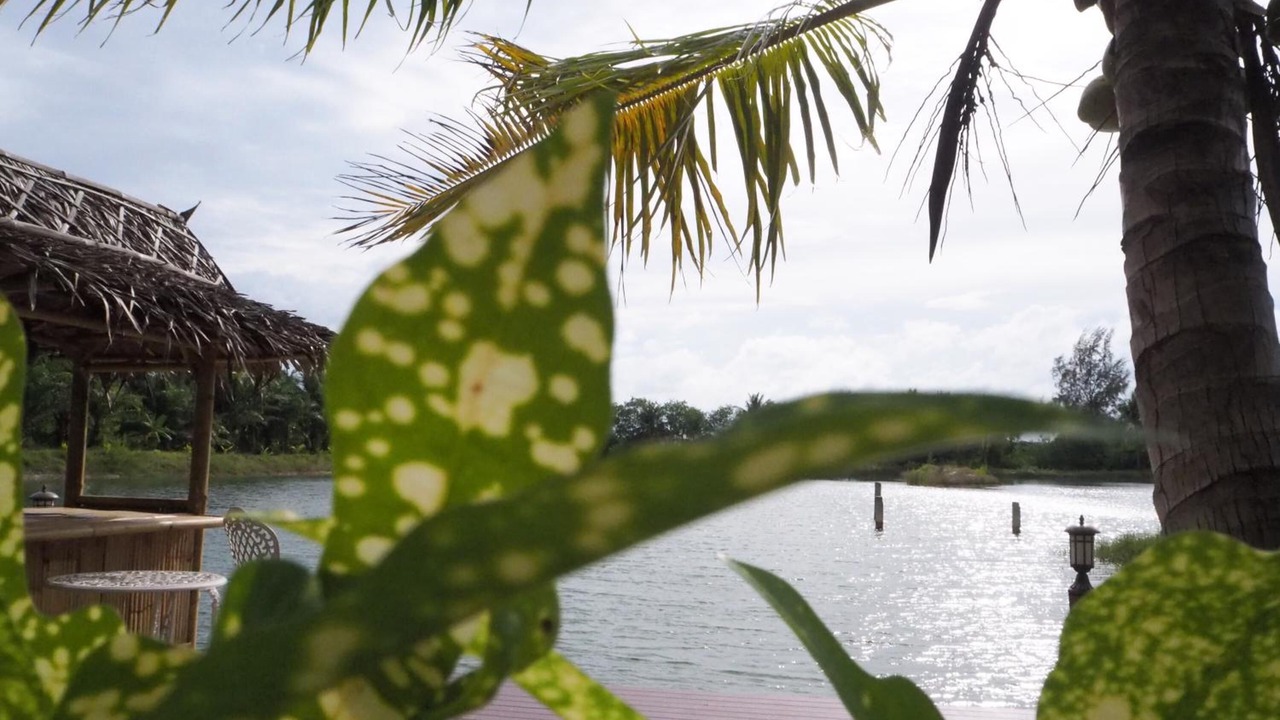 Photo of Outdoor in Pak Nam