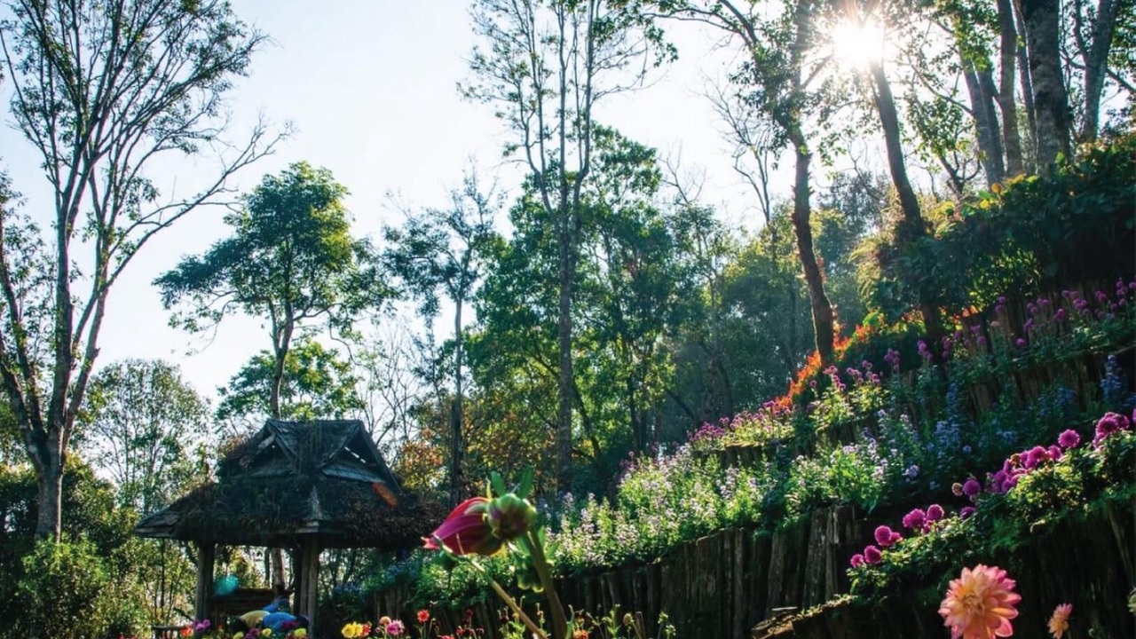 Photo of Outdoor in Mae Fa Luang
