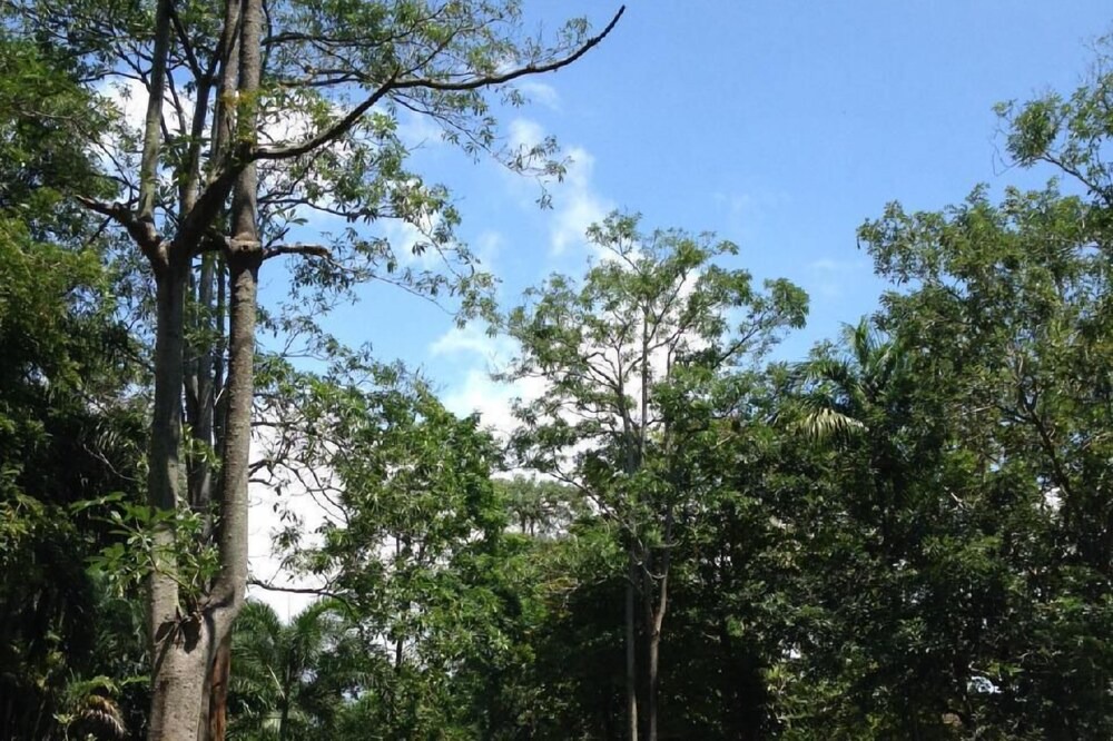 Photo of Outdoor in Kram
