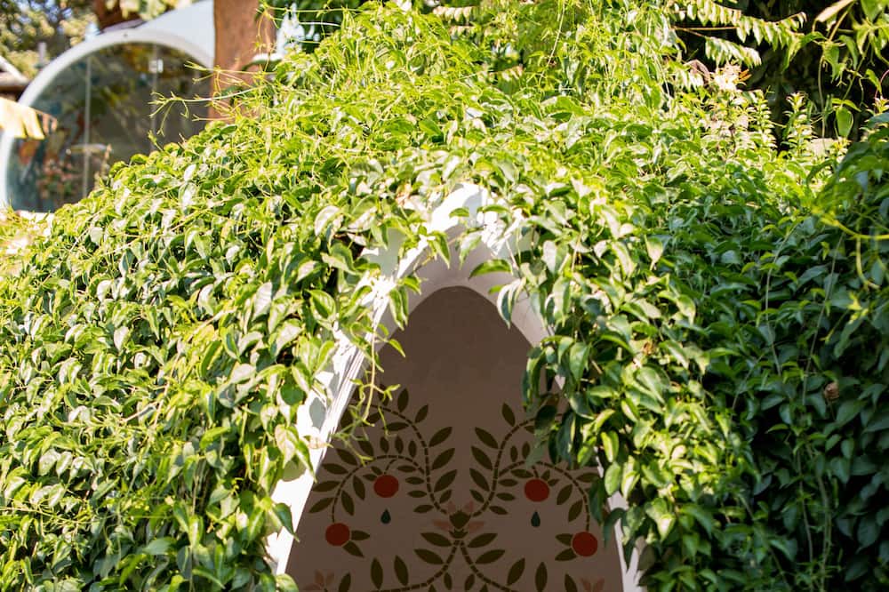 Photo of Outdoor in Mae Wang