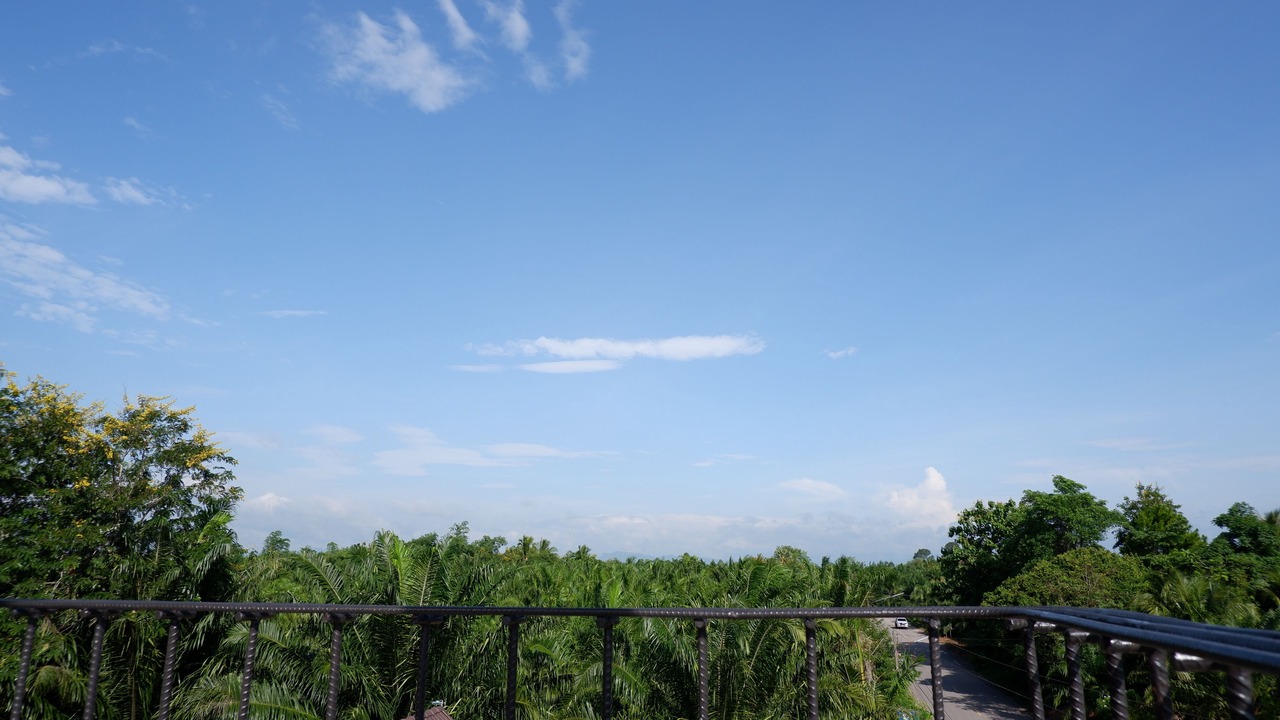 Photo of Others in Phunphin