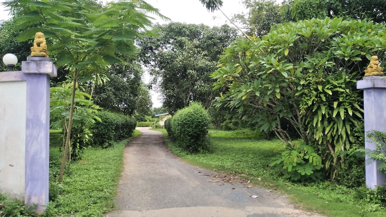 Photo of Outdoor in Si Mahosot