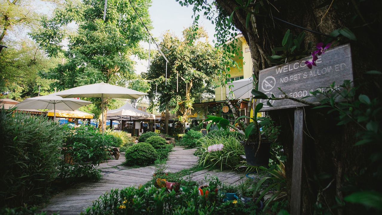 Photo of Others in Chiang Rai