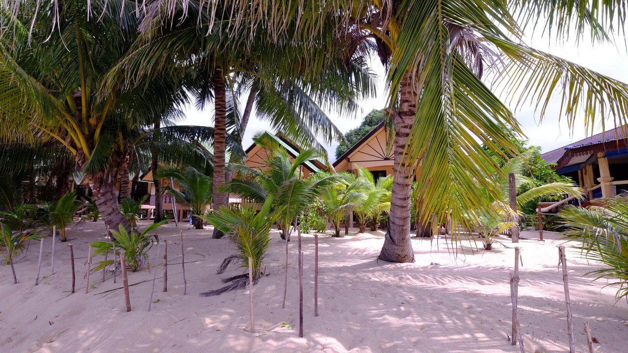 Photo of Outdoor in Mae Nam