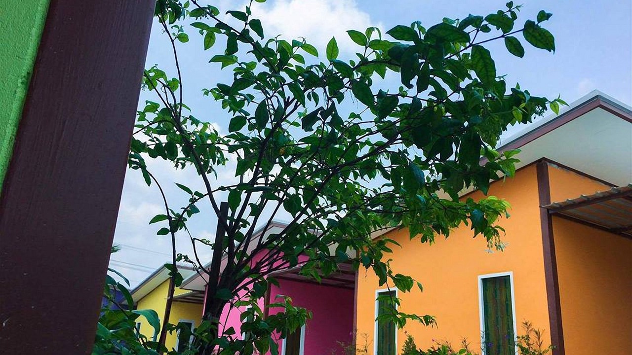 Photo of Outdoor in Nikhom Phatthana