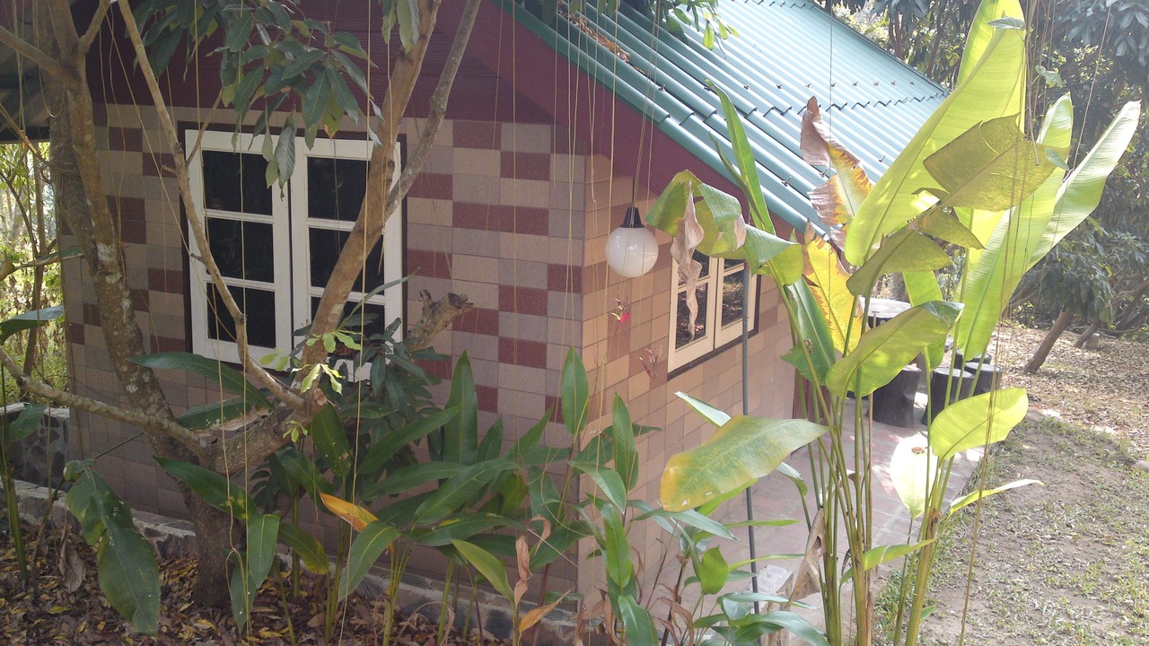 Photo of Others in Suan Phueng