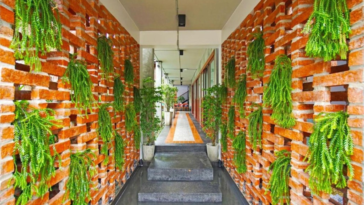 Photo of Outdoor in Chang Phueak