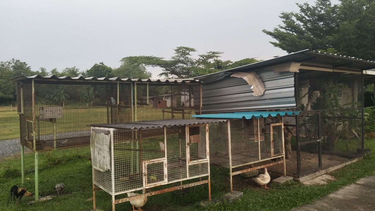 Photo of Outdoor in Phanat Nikhom