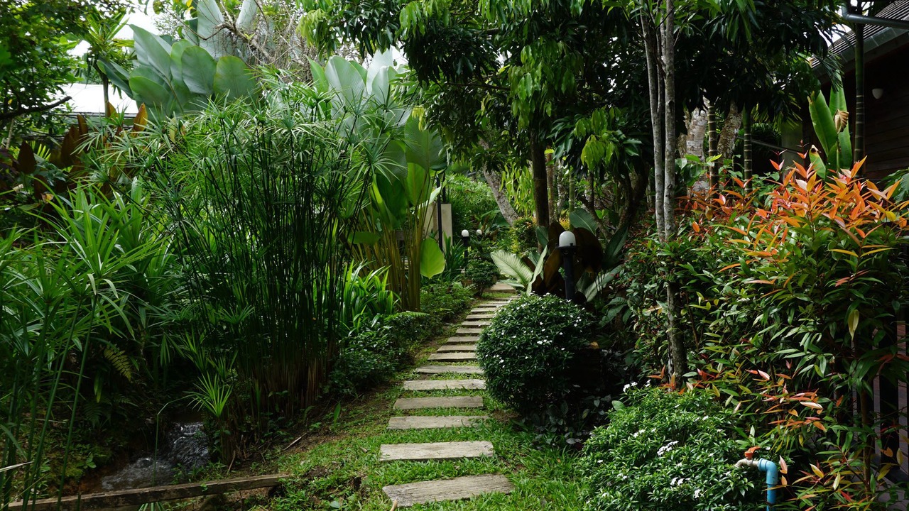 Photo of Outdoor in Mueang Na