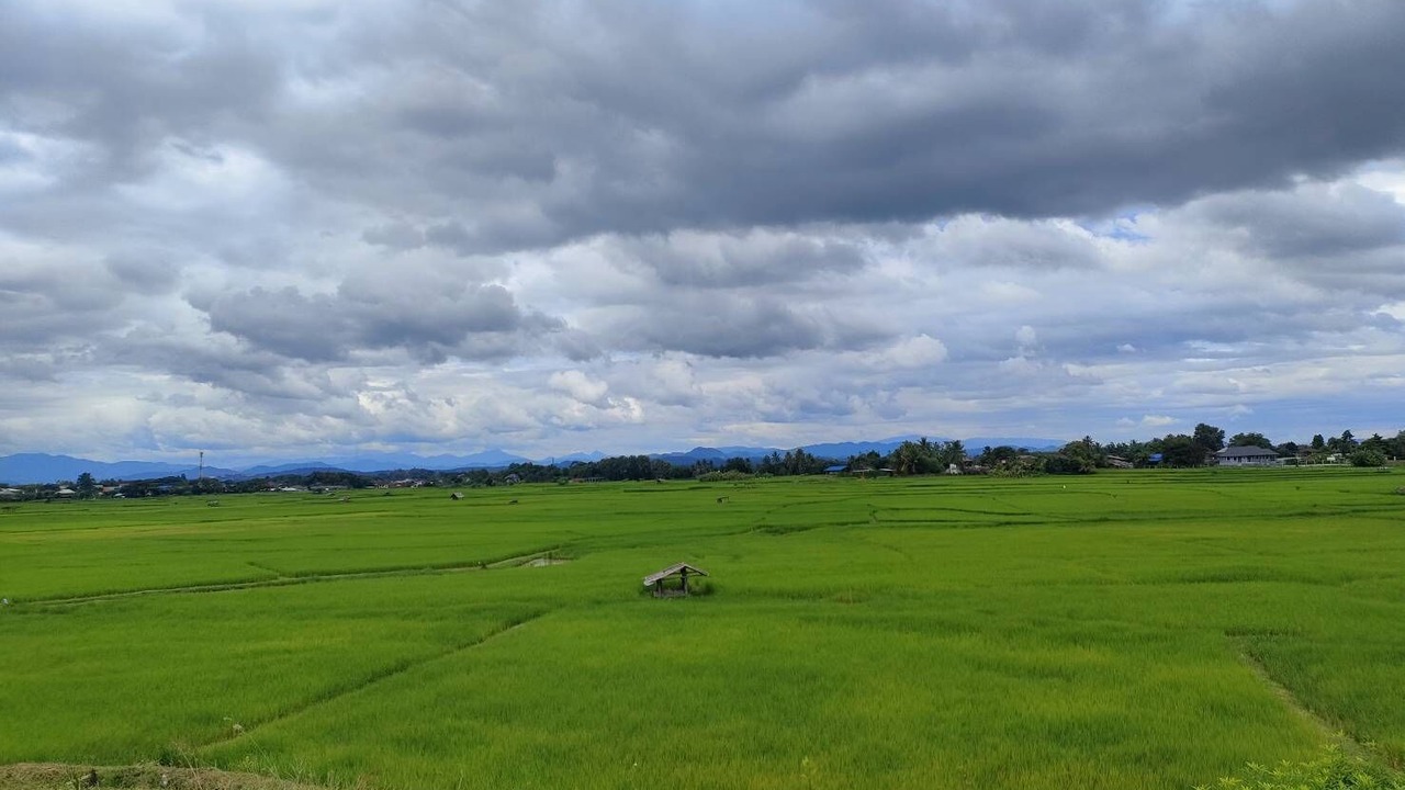 Photo of Outdoor in K. Phu Pieng