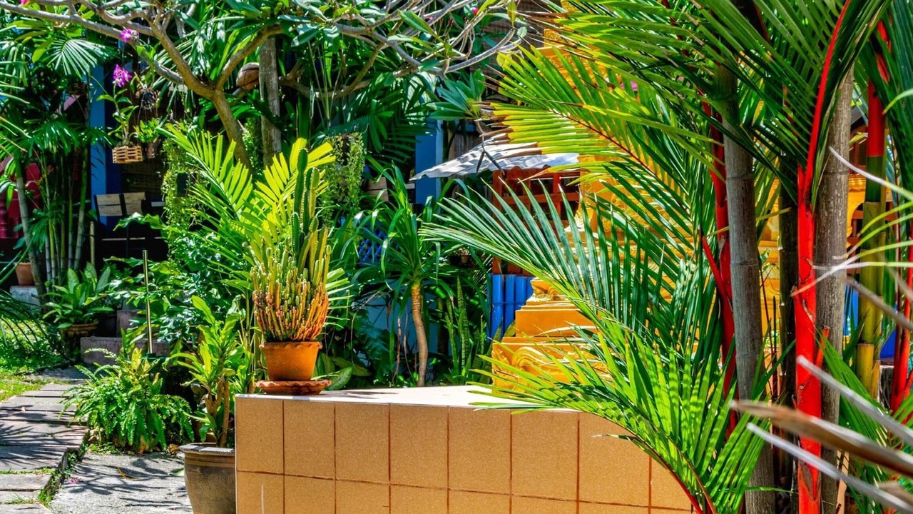 Photo of Outdoor in Kata