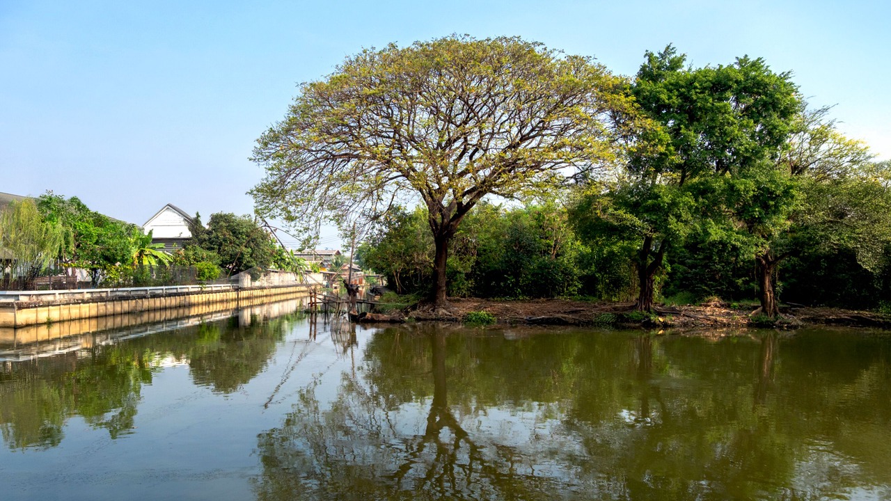 Photo of Outdoor in Lat Krabang