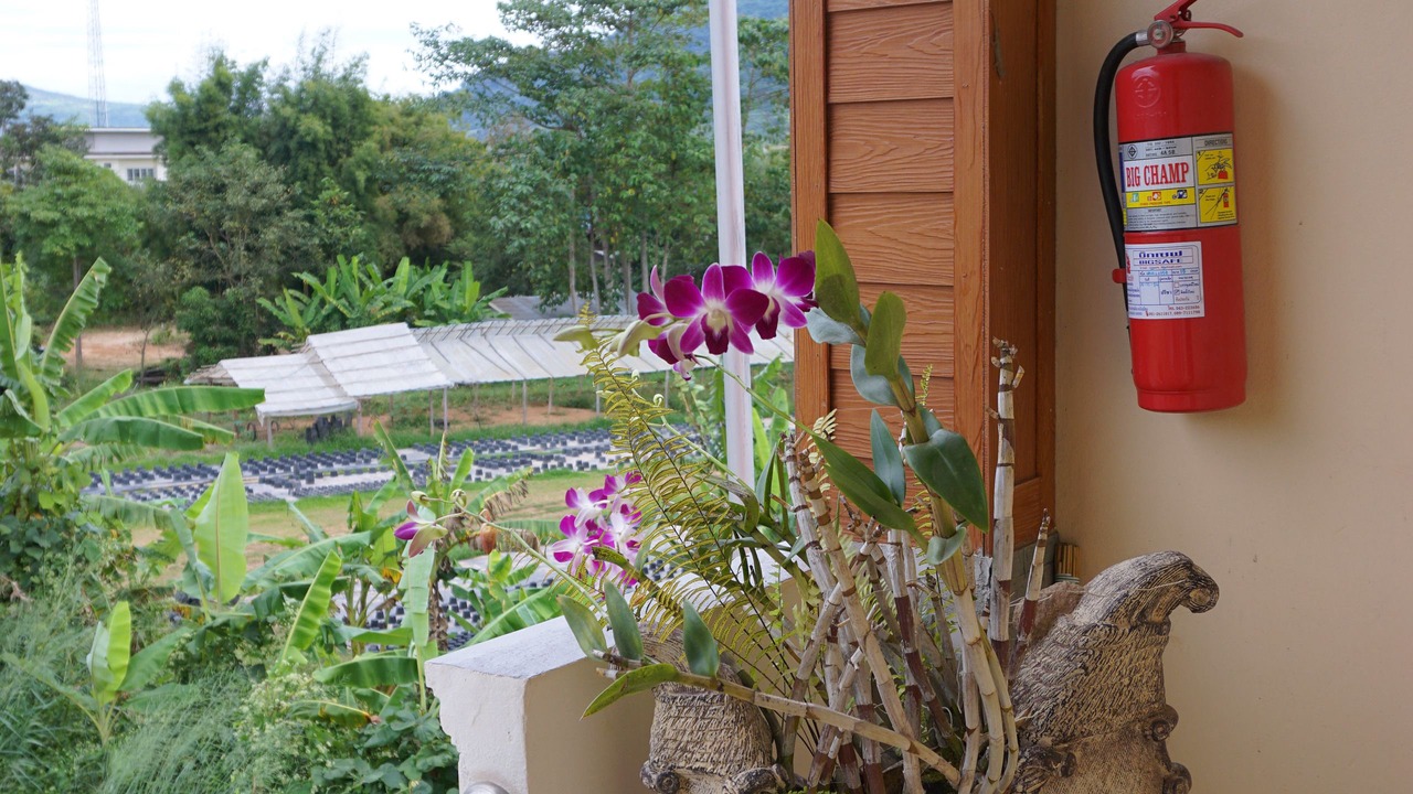 Photo of Patio Balcony in Phu Ruea