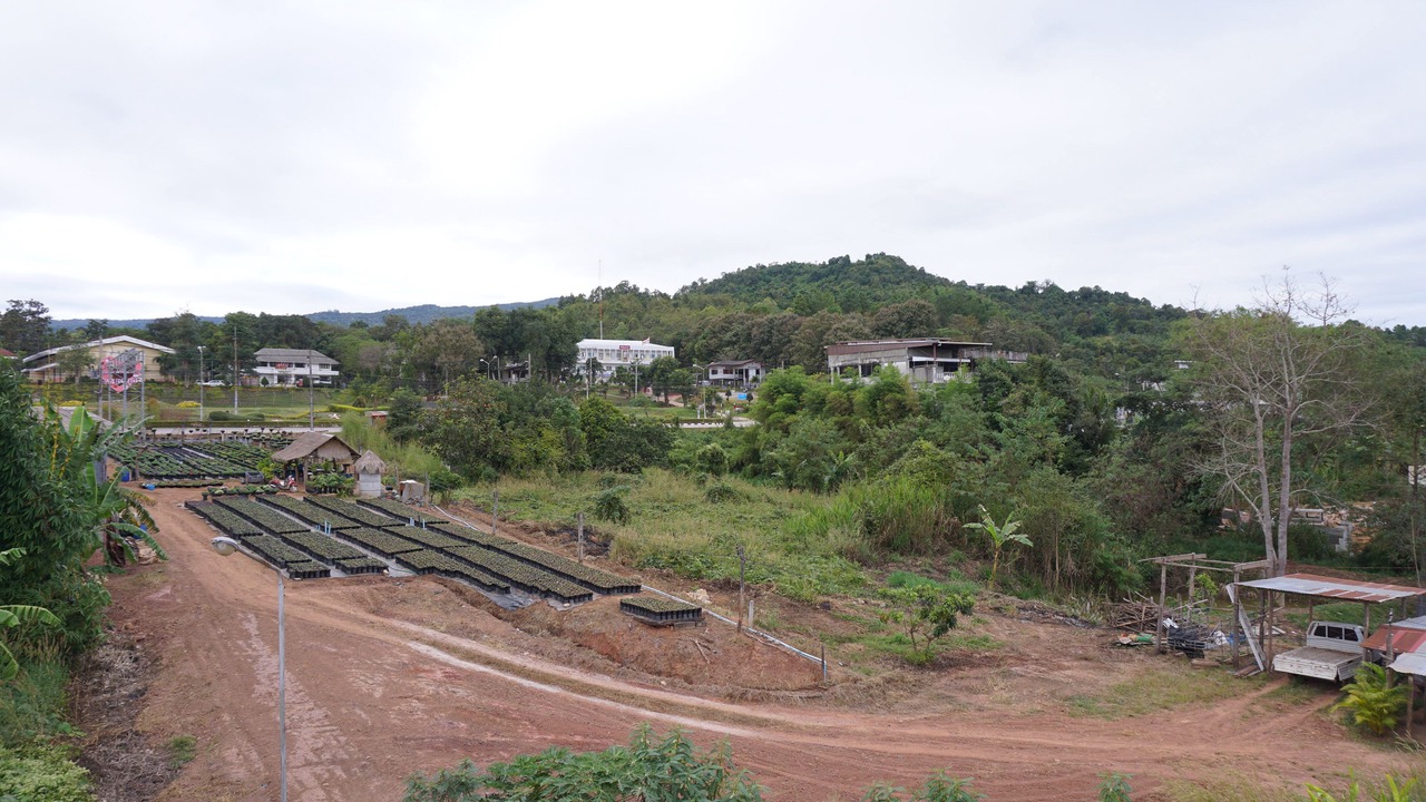 Photo of Others in Phu Ruea