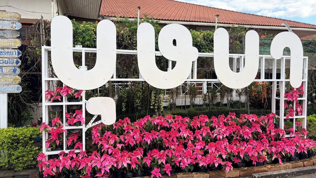 Photo of Outdoor in Phu Ruea
