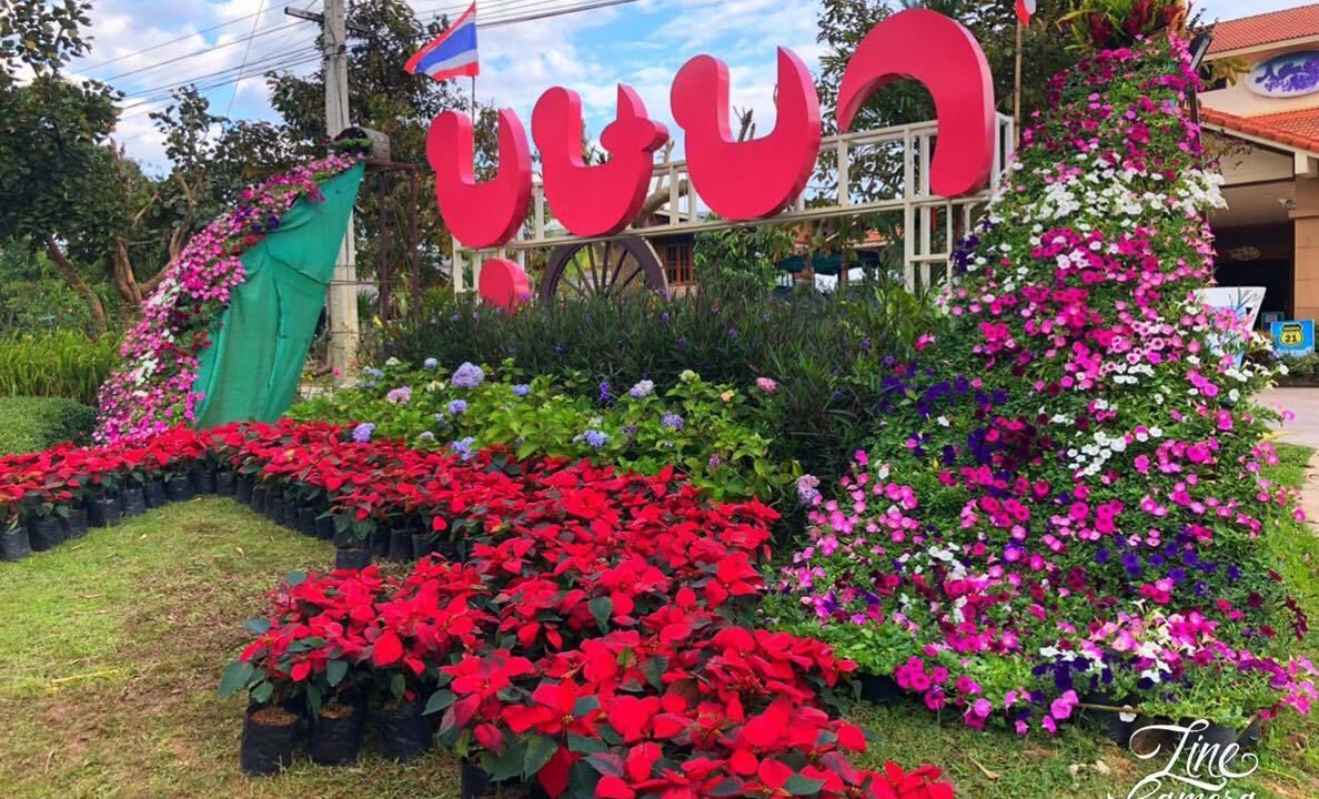 Photo of Outdoor in Phu Ruea