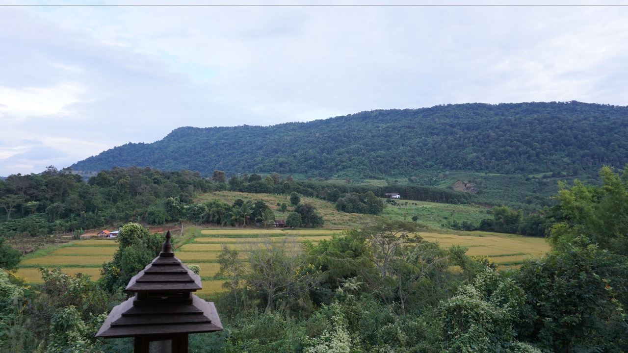 Photo of Others in Phu Ruea