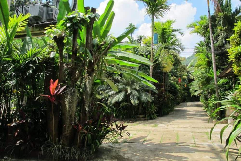 Photo of Outdoor in Mae Sai