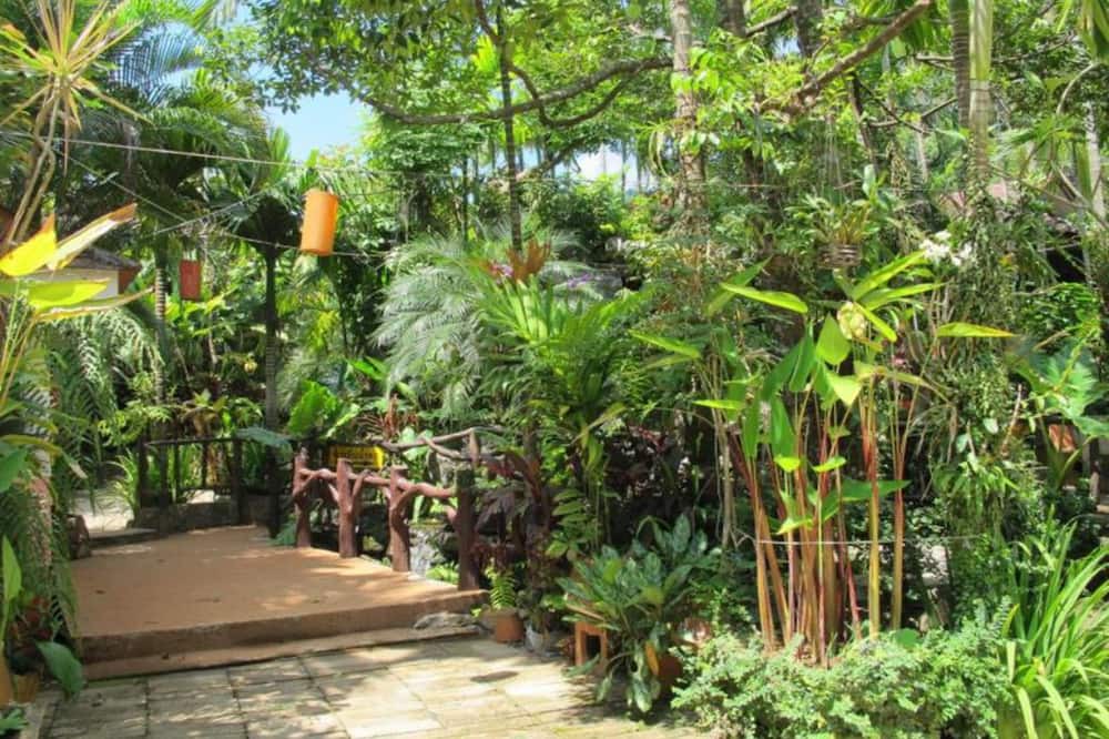 Photo of Outdoor in Mae Sai