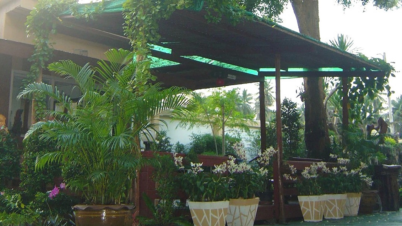 Photo of Outdoor in Khung Nam Won