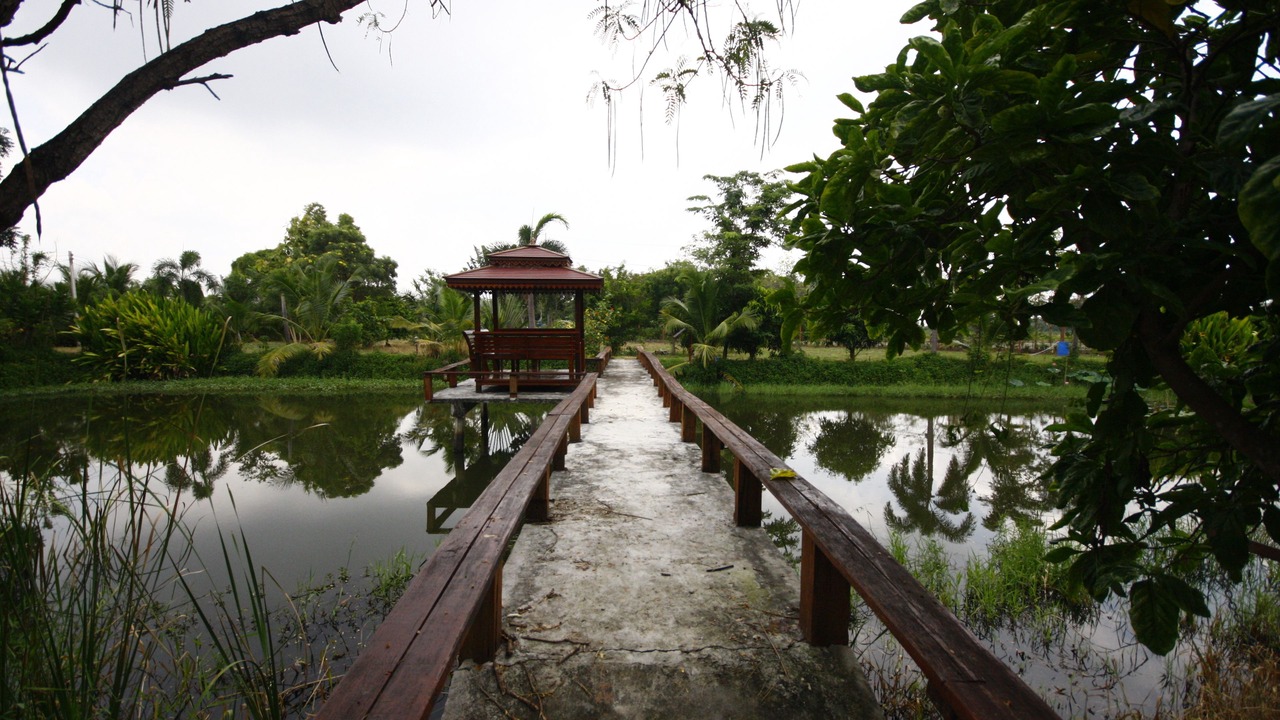 Photo of Outdoor in Khlong Khuean