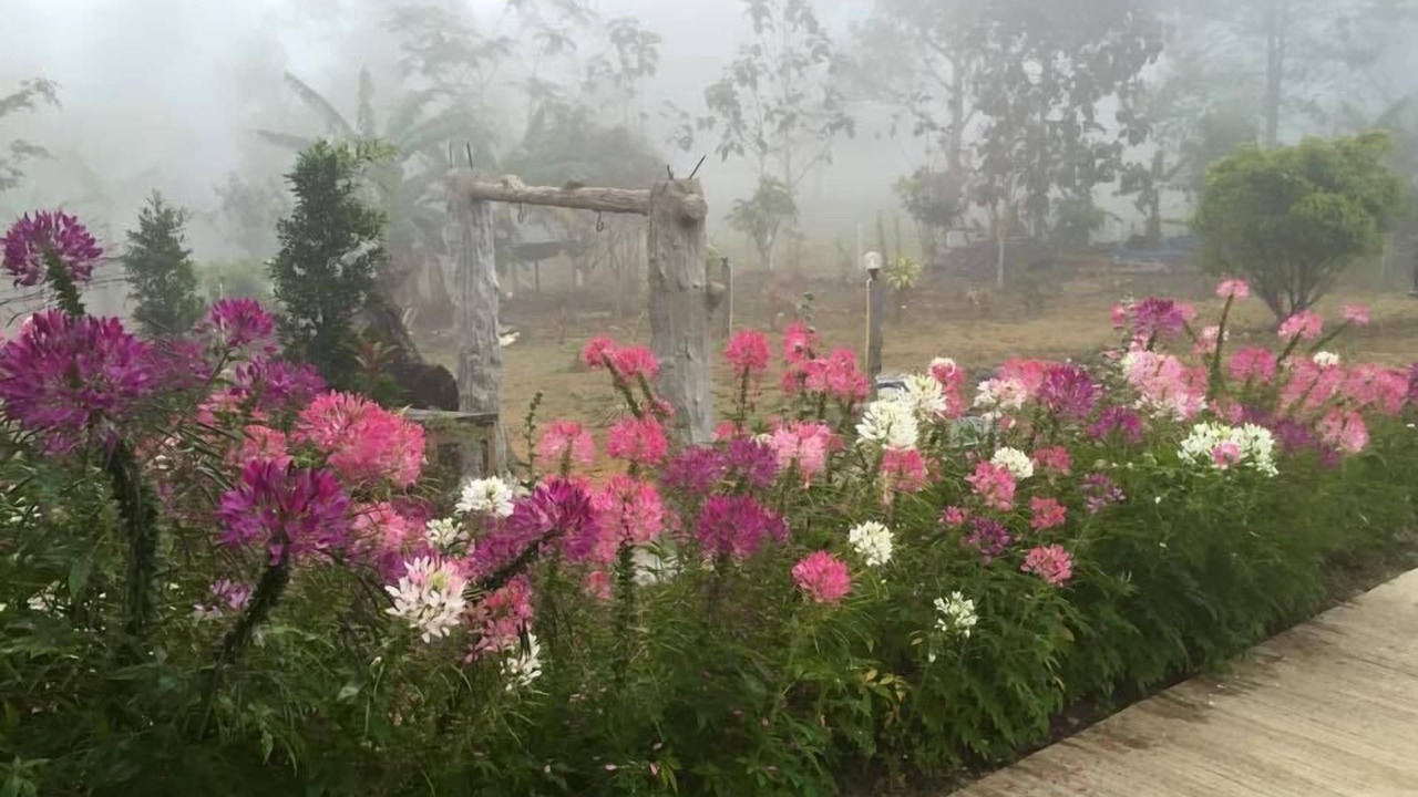 Photo of Outdoor in Khao Kho