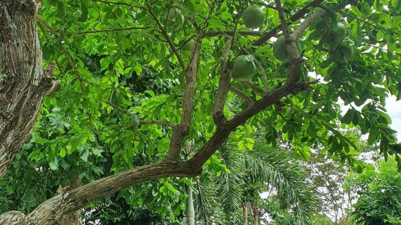 Photo of Outdoor in Prachuap Khiri Khan