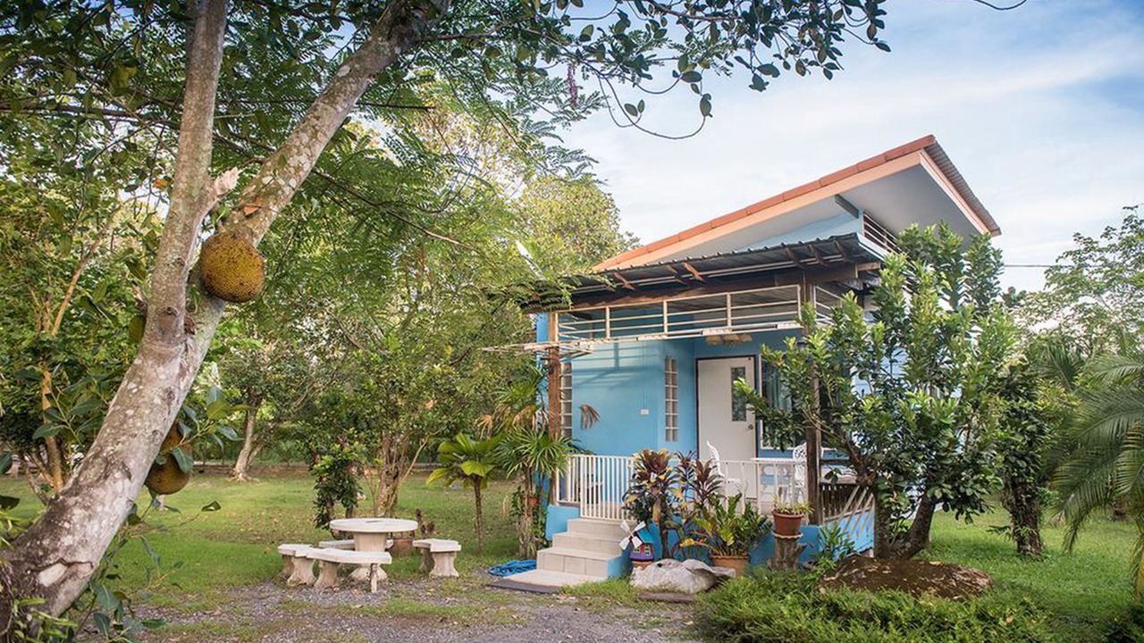 Photo of Outdoor in Sarika