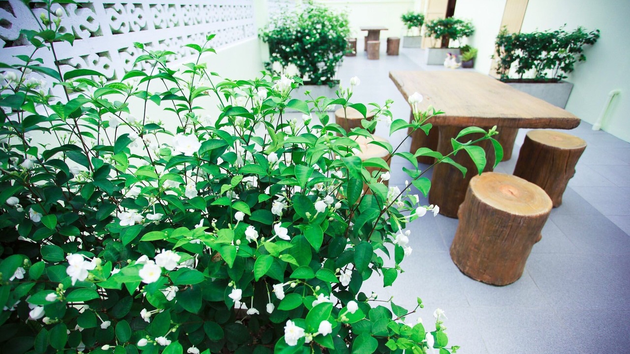 Photo of Patio Balcony in Nong Bua