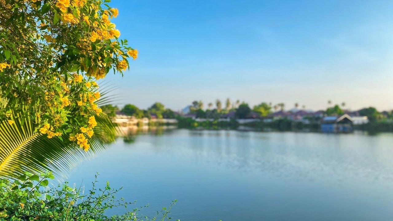 Photo of Outdoor in Wang Pong