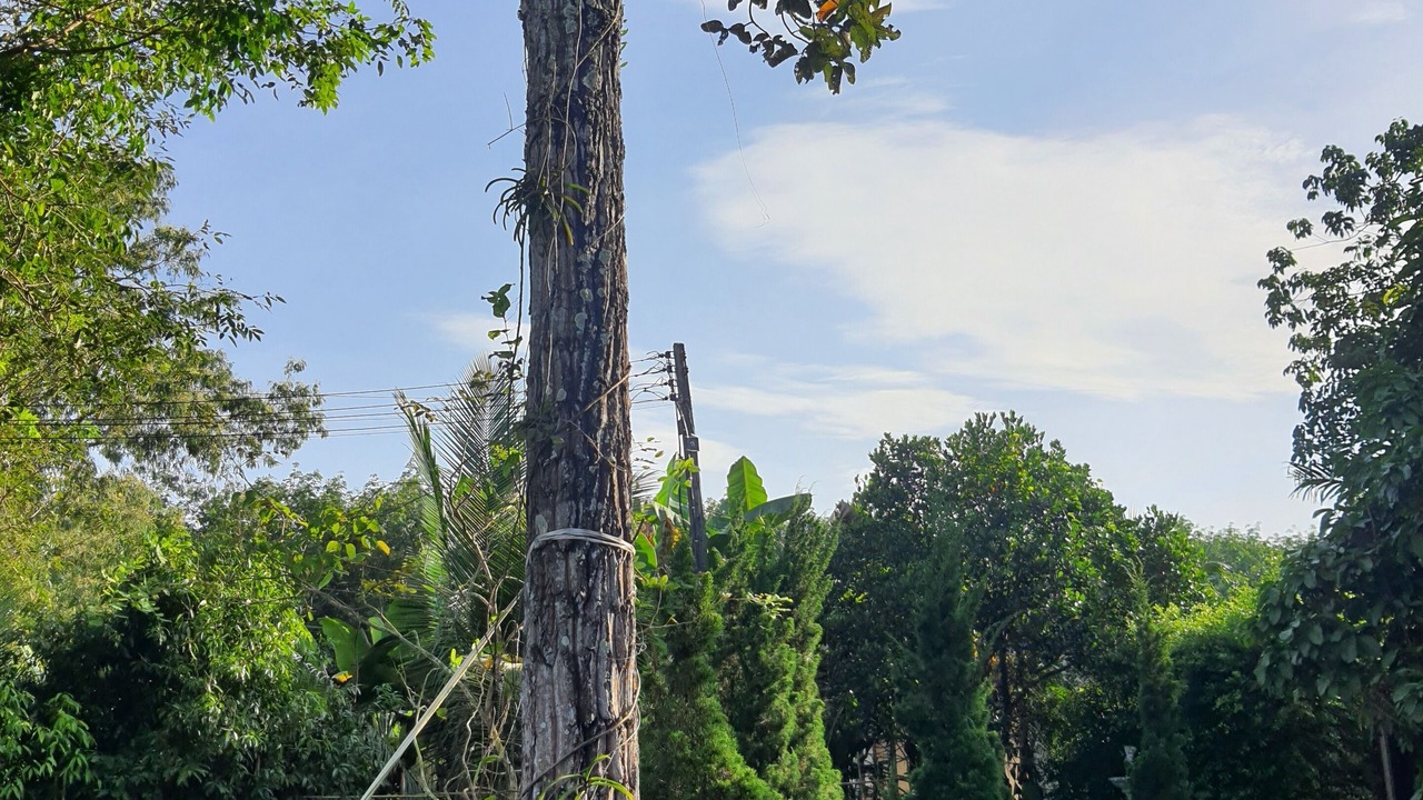 Photo of Outdoor in Prachantakham