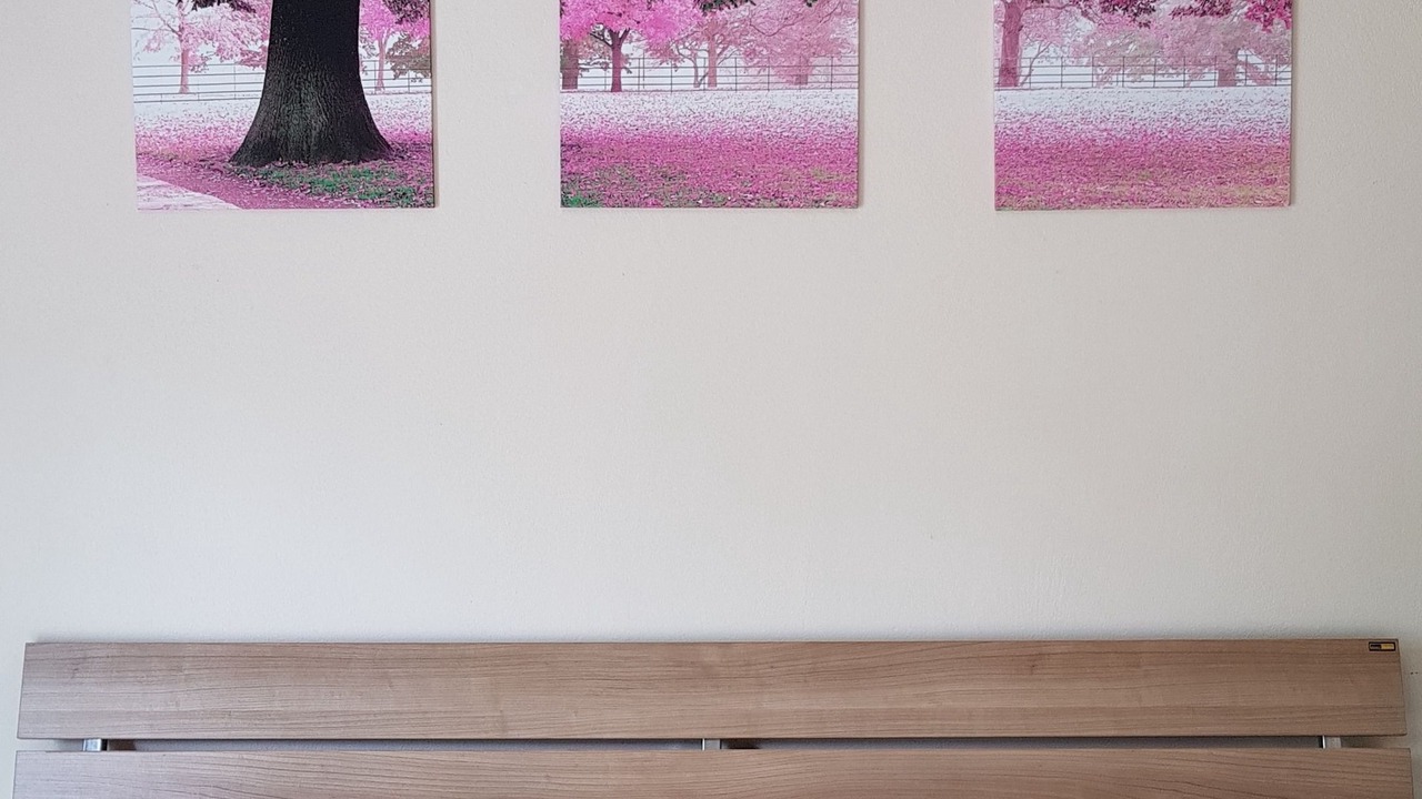 Photo of Bedroom in Kaeng Sopha