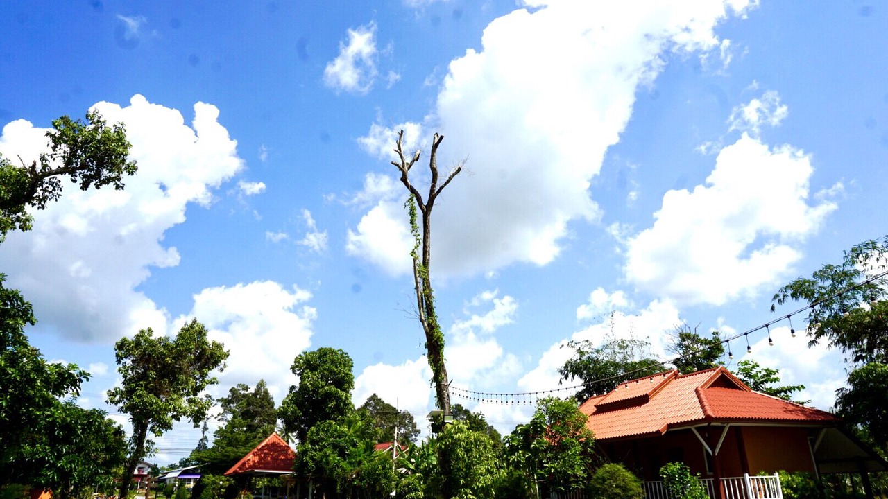 Photo of Outdoor in Chaloem Phra Kiat