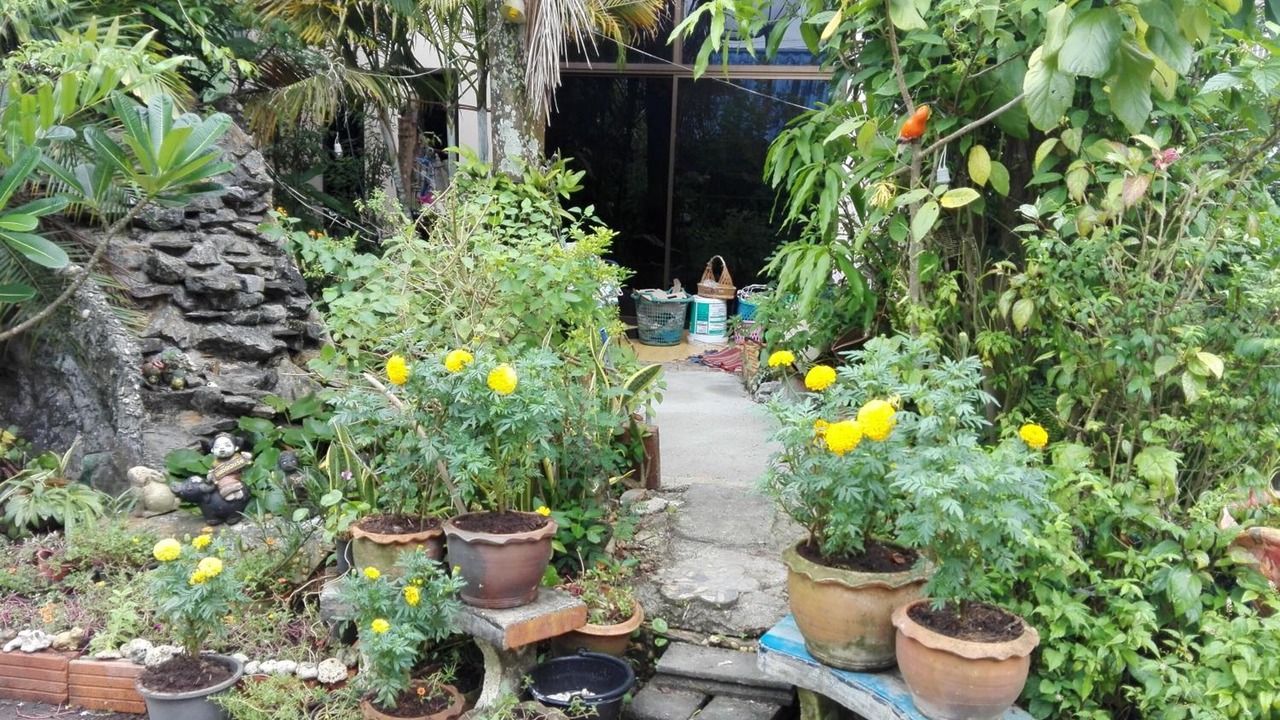 Photo of Outdoor in Makham Tia