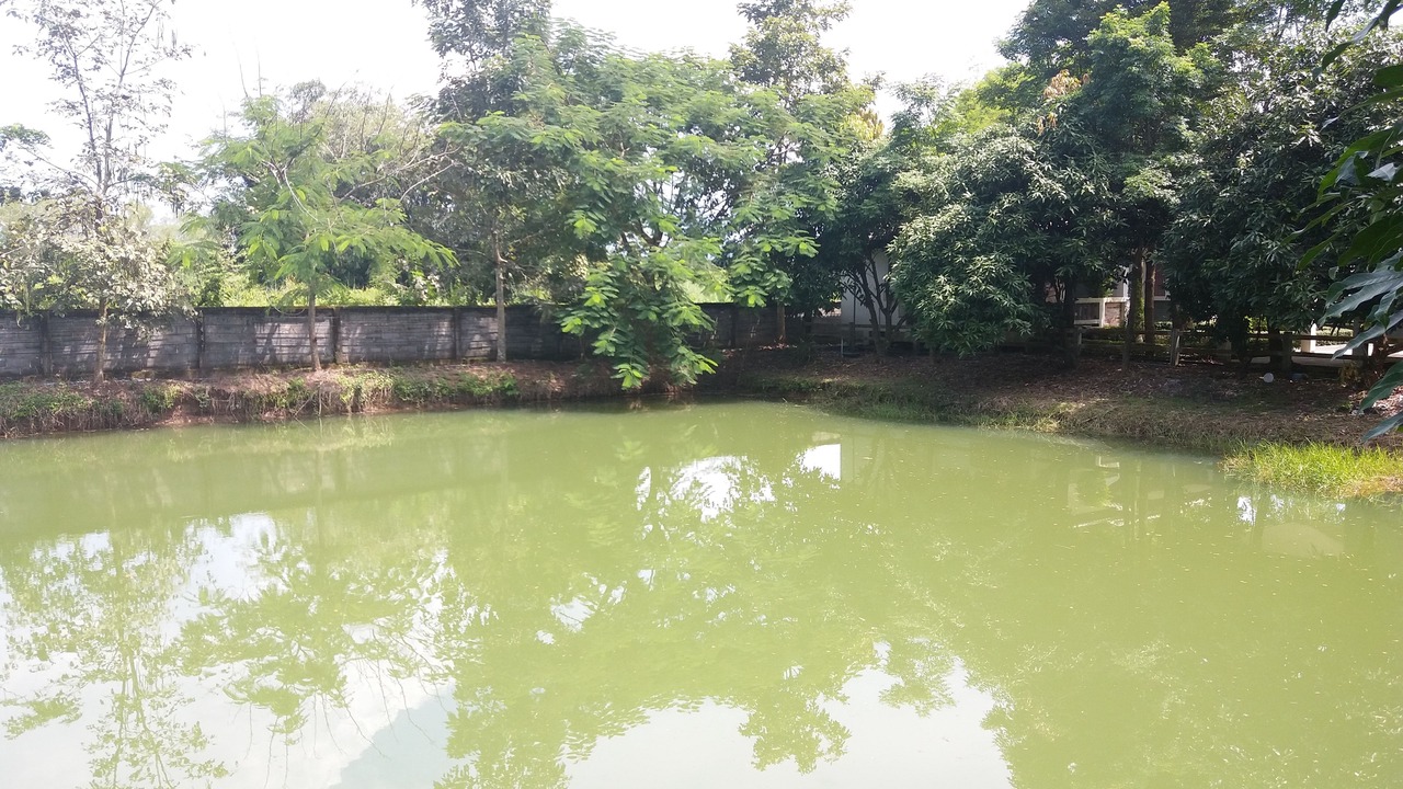 Photo of Outdoor in Pak Phli