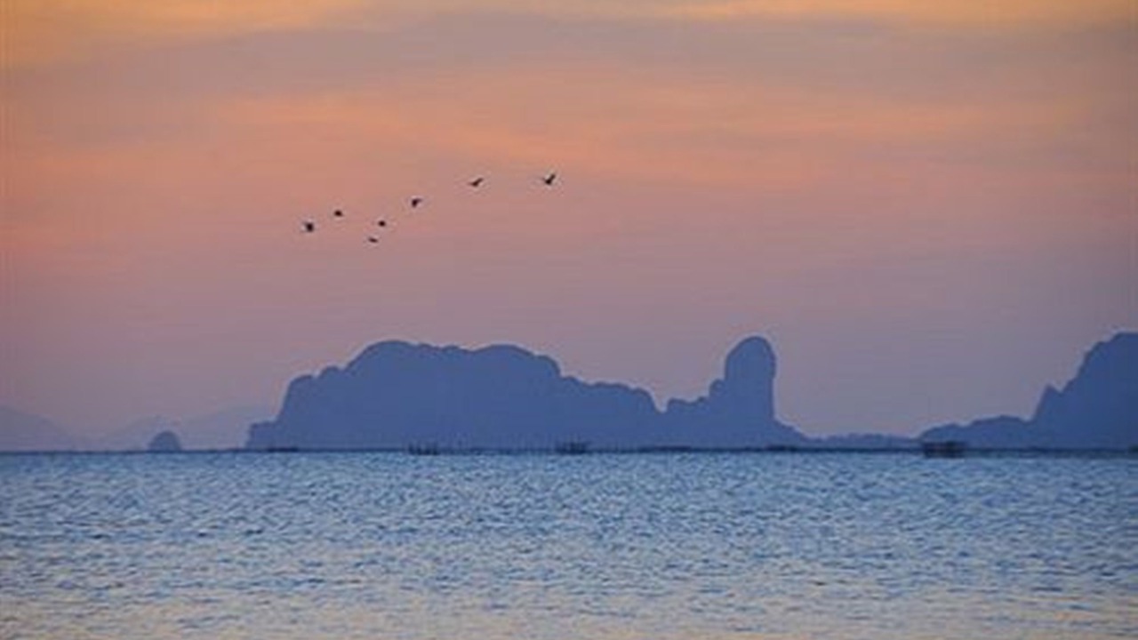 Photo of Others in Krabi