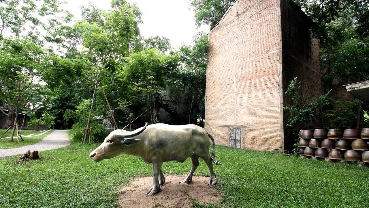 Photo of Outdoor in San Pa Thong