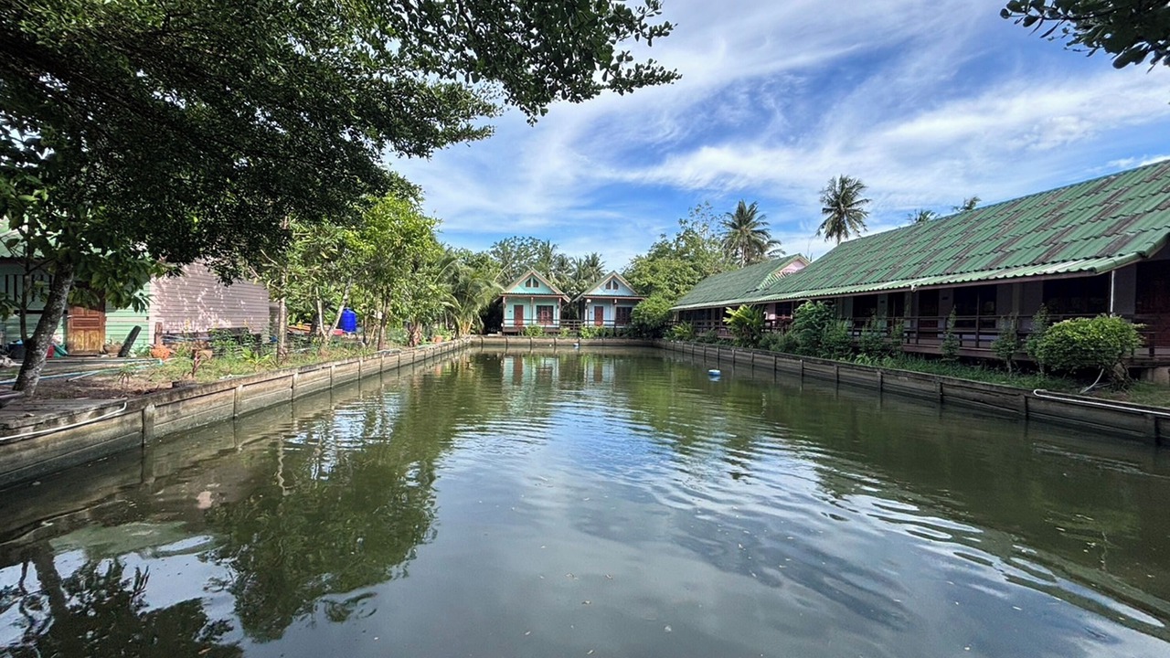 Photo of Outdoor in Amphawa