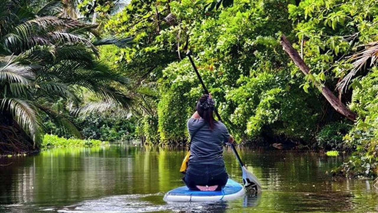 Photo of Outdoor in Amphawa