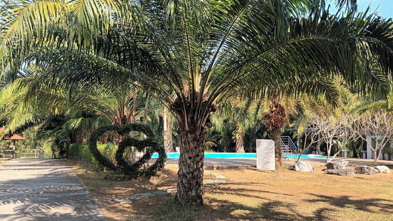 Photo of Others in Khao Saming