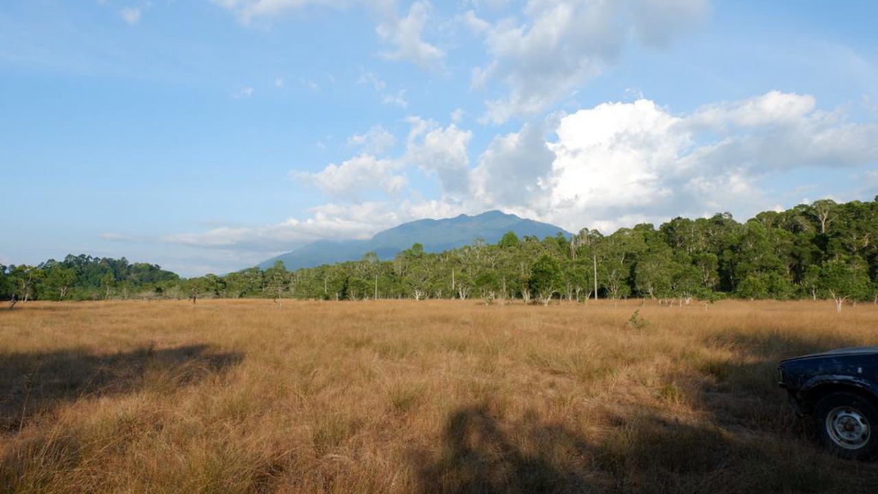 Photo of Outdoor in Khura Buri