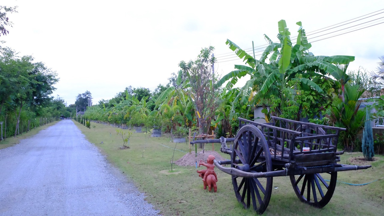 Photo of Outdoor in Noen Phra