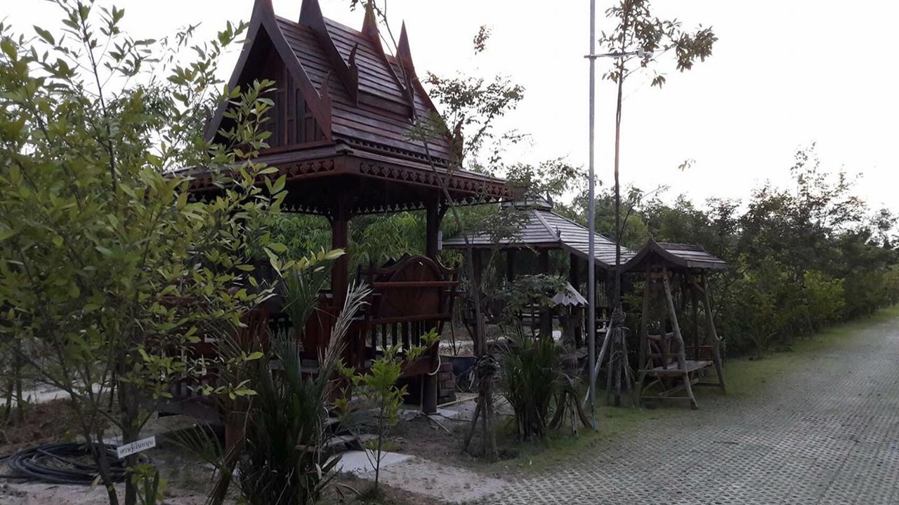 Photo of Outdoor in Noen Phra